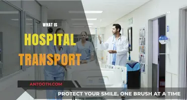 Understanding Hospital Transport: A Comprehensive Guide