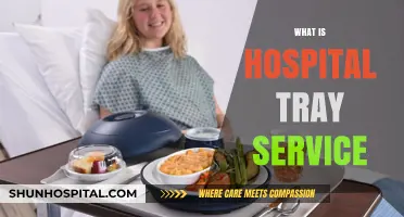 Exploring Hospital Tray Service: A Comprehensive Guide