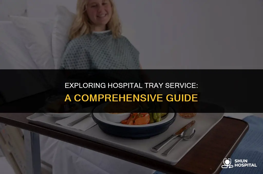 what is hospital tray service