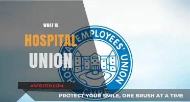 Understanding Hospital Unions: A Comprehensive Guide for Healthcare Professionals