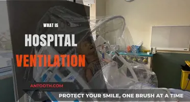 Understanding Hospital Ventilation: A Lifeline for Patients in Need