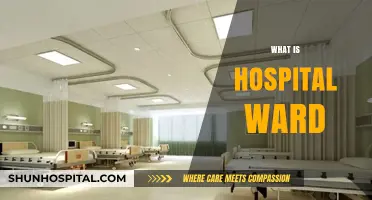 Exploring the Heart of Healthcare: Inside a Hospital Ward