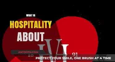 Exploring the Heart of Hospitality: A Journey Beyond Service
