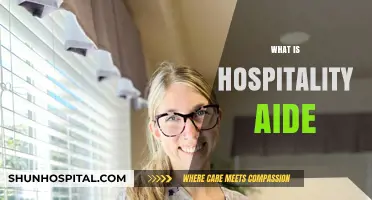 Exploring the Role of a Hospitality Aide: Your Guide to Industry Insights