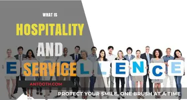 Exploring the Art of Hospitality and Service Excellence