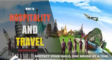 Exploring the Dynamic World of Hospitality and Travel
