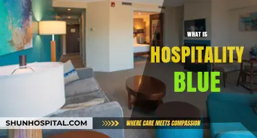 Exploring the Depths of Hospitality Blue: A Journey into the Industry's Heart