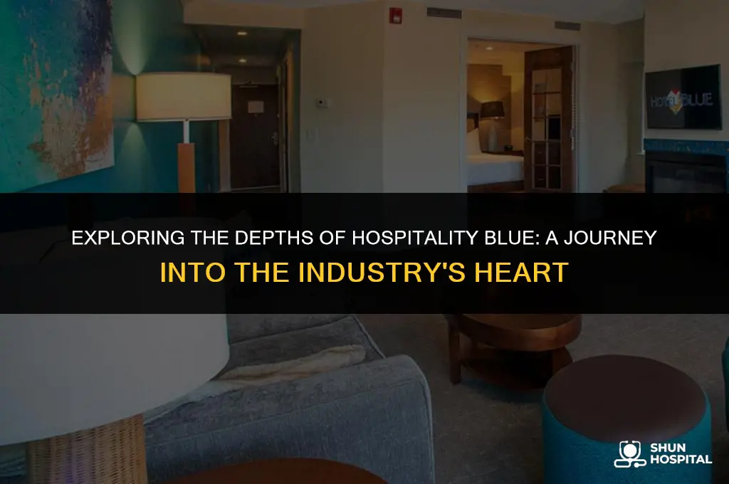 what is hospitality blue