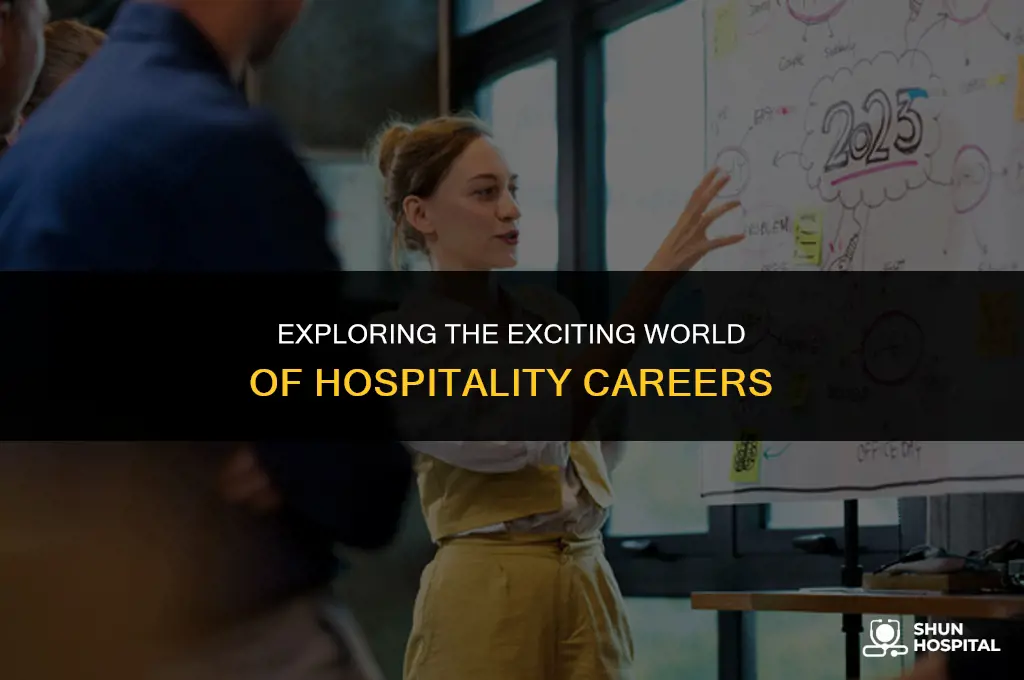 what is hospitality career