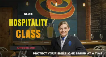 Exploring the Essentials of Hospitality Classes: A Comprehensive Guide