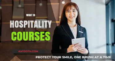 Exploring the World of Hospitality: A Guide to Courses and Careers