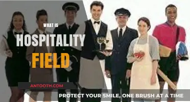 Exploring the Dynamic World of Hospitality: A Comprehensive Guide