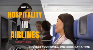 Elevating Skies: The Essence of Hospitality in Airline Service