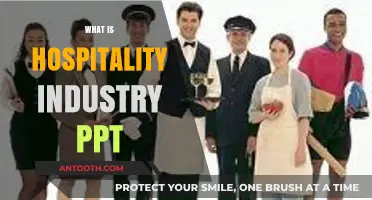 Exploring the Dynamics of the Hospitality Industry: A Comprehensive Guide