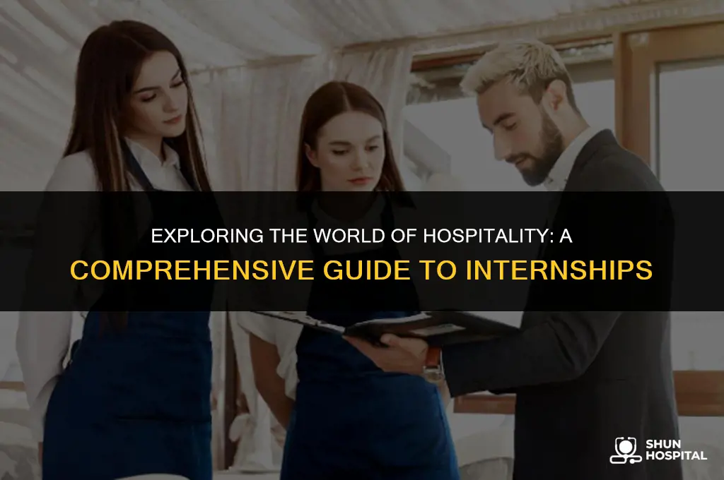 what is hospitality intern