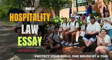 Understanding Hospitality Law: A Comprehensive Essay Guide