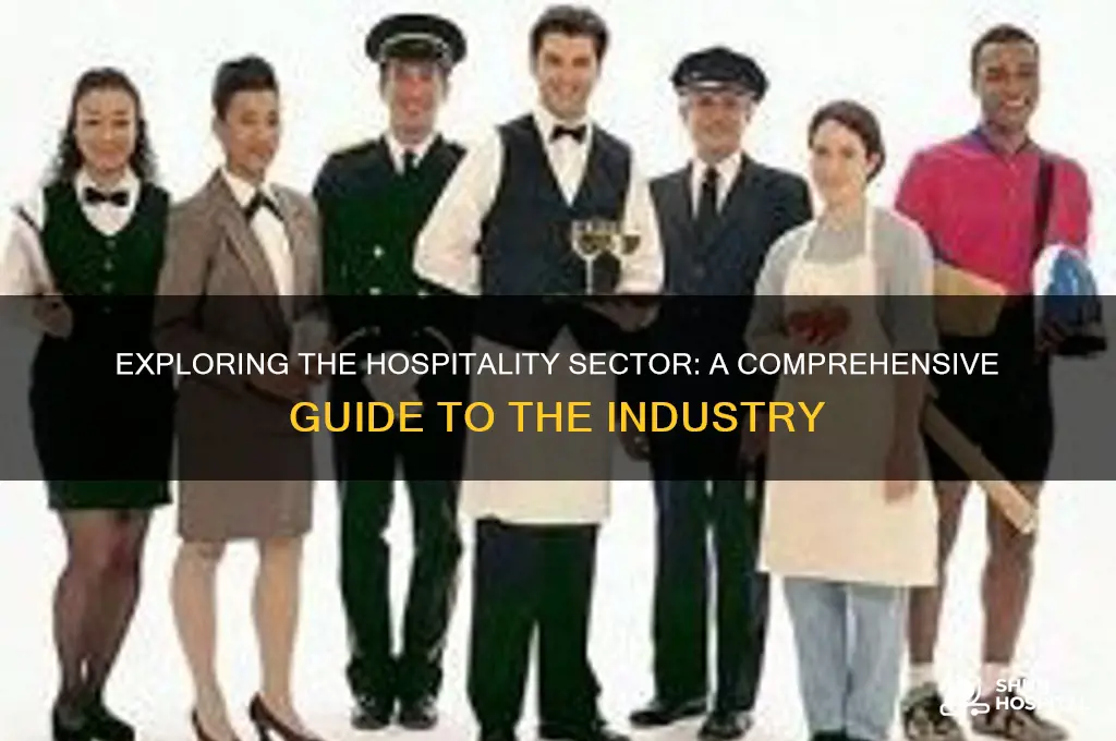 what is hospitality sector