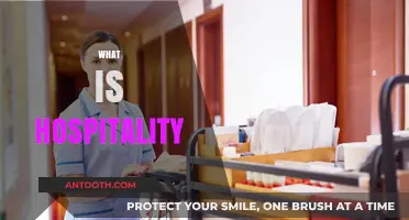 Understanding Hospitality: The Art of Welcoming and Caring for Guests