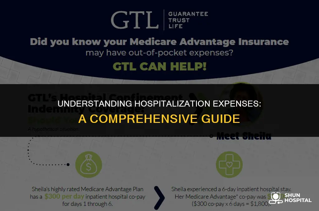 what is hospitalization expenses
