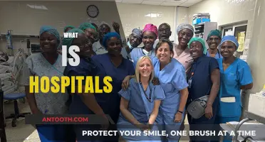 Exploring the Lifeline of Healthcare: What Hospitals Really Are