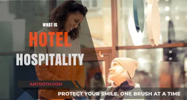 Understanding Hotel Hospitality: The Art of Guest Satisfaction and Service