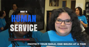 Understanding Human Services: Empowering Communities and Transforming Lives