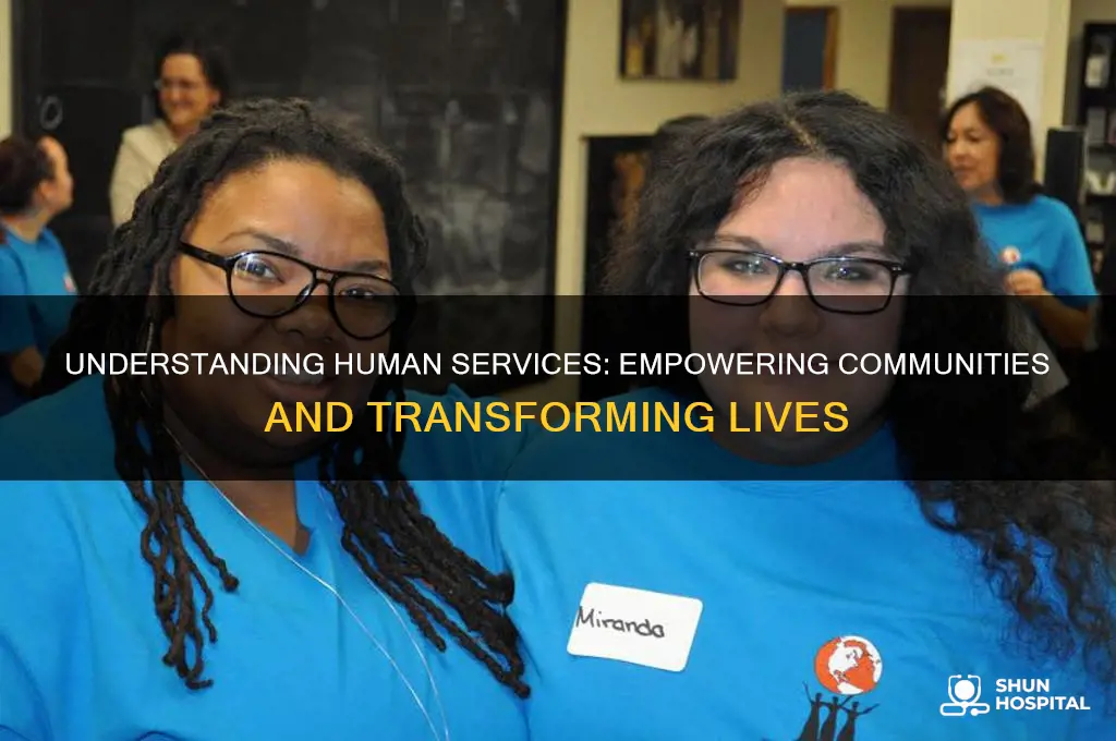 what is human service