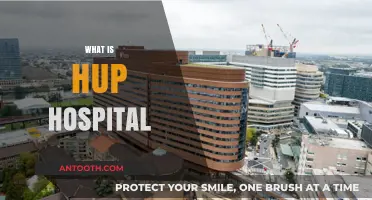 Exploring HUP Hospital: Services, Reputation, and Patient Care
