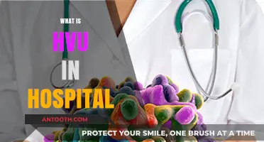 Understanding Hospital-Acquired Infections: A Guide to HVU