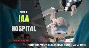 Exploring IAA Hospital: Services, Reputation, and Patient Care
