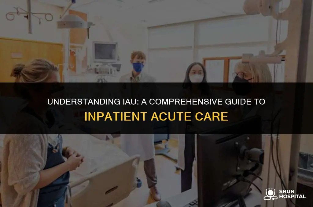 what is iau in hospital