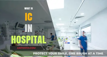 Understanding IC in Hospitals: A Comprehensive Guide
