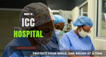 Understanding ICC Hospital: A Comprehensive Guide to Its Services