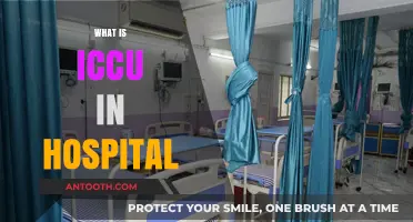 Understanding ICCU: Intensive Coronary Care Unit in Hospitals Explained