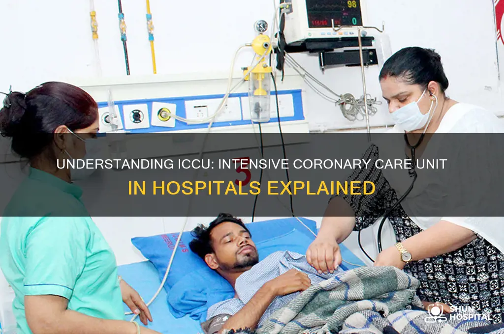what is iccu in hospital