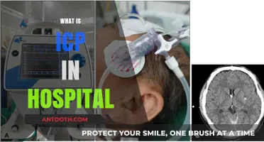 Understanding ICP: A Crucial Metric in Hospital Patient Care