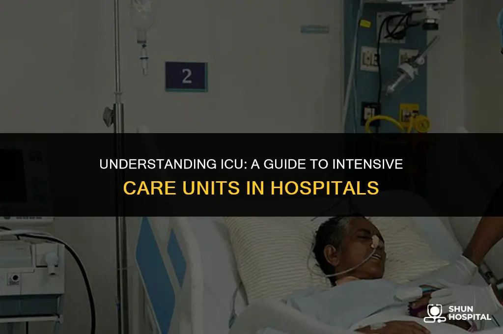 what is icu at the hospital
