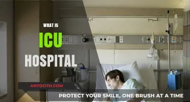 Understanding ICU: Intensive Care Units in Hospitals Explained