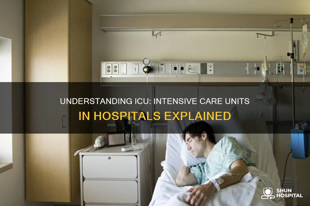 what is icu hospital