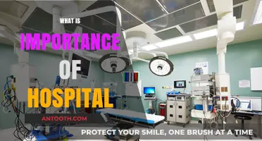 The Vital Role of Hospitals in Modern Healthcare Systems