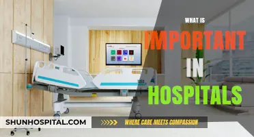 Prioritizing Patient Care: Key Elements in Hospital Settings