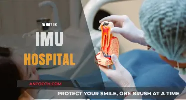 Understanding IMU Hospital: Services, Location, and Patient Care Explained