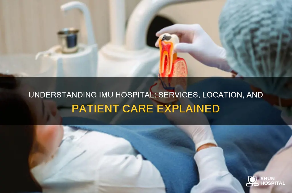 what is imu hospital
