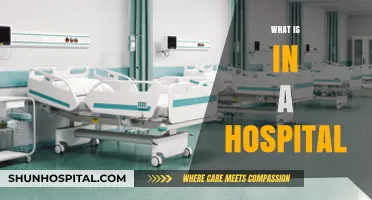 Exploring the Lifeline: A Comprehensive Guide to Hospital Departments and Services