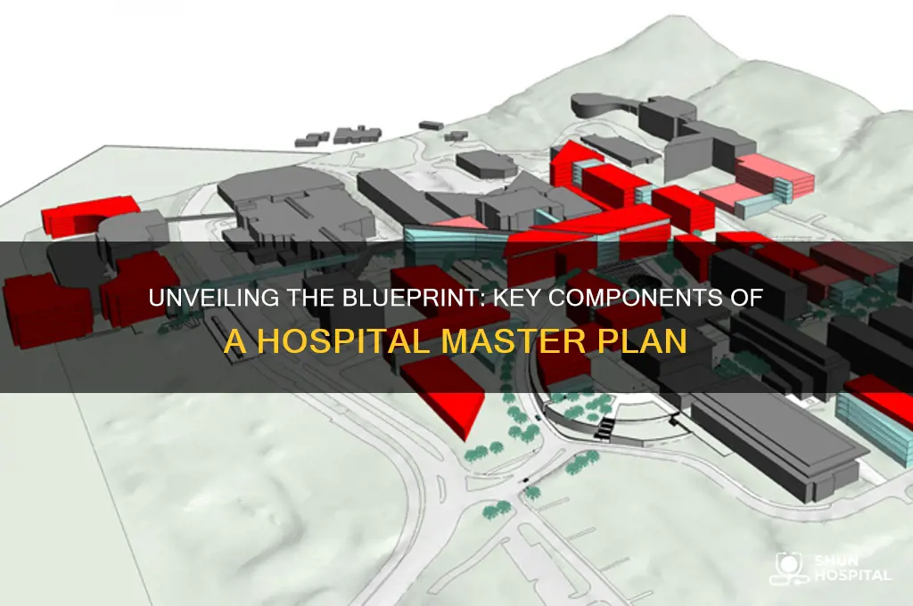 what is in a master plan for a hospital