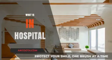 Exploring Hospital Essentials: What You'll Find Inside a Medical Facility