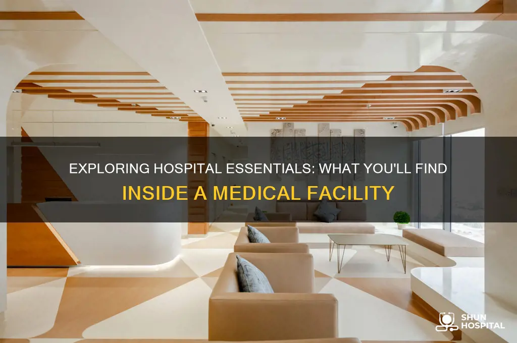 what is in hospital