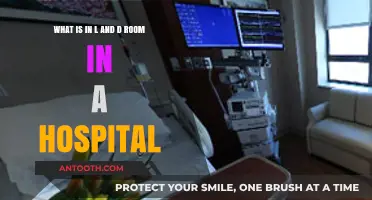 Inside the L&D Room: Understanding Hospital Labor and Delivery Suites
