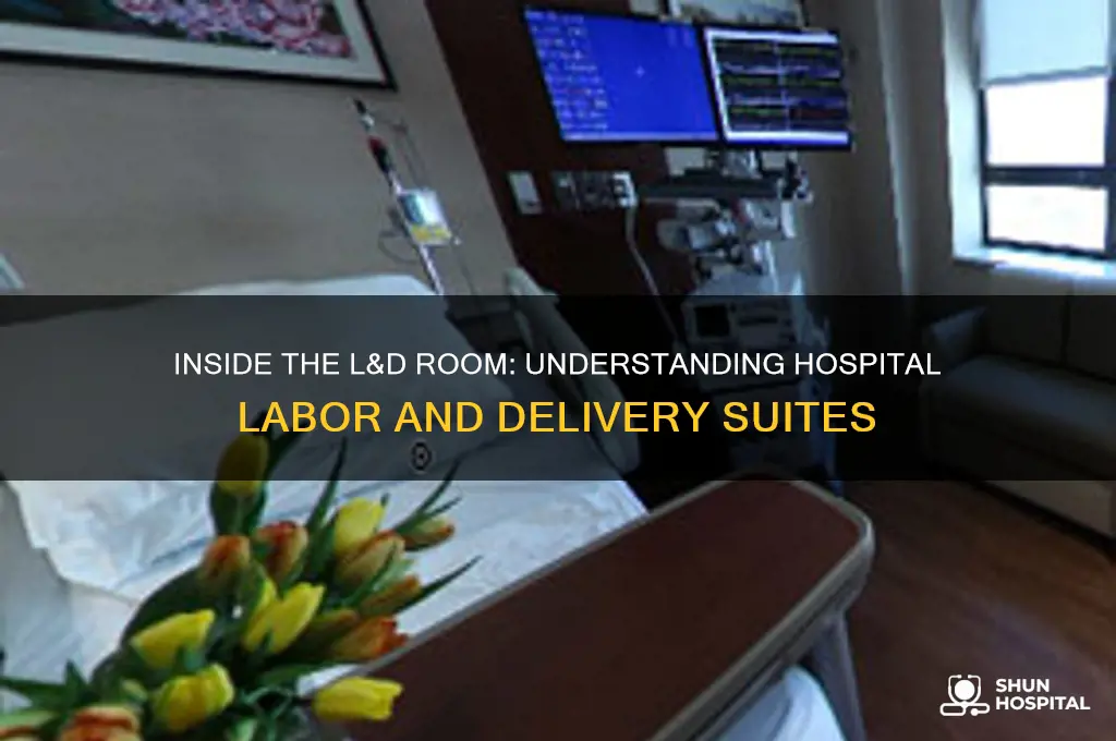 what is in l and d room in a hospital
