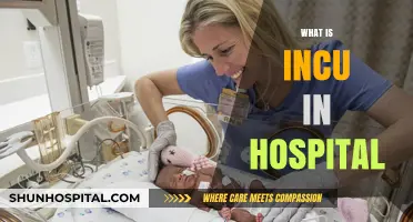 Understanding Incu: A Guide to Neonatal Intensive Care Units